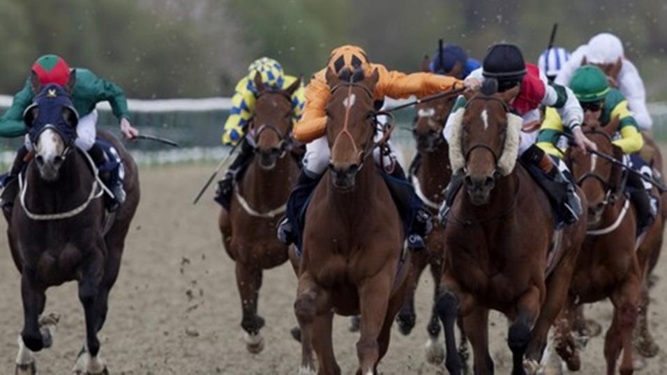 There is all-weather racing at Southwell and Chelmsford on Thursday